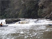 Spring Creek 23